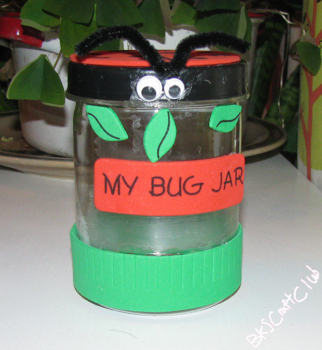 BKS Craft Club Bug Jar