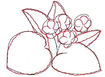 How to Draw a Violet in 5 Steps How to Draw a Violet in 5 Steps