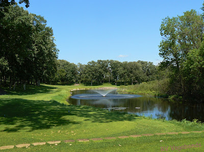 golf golfers pension