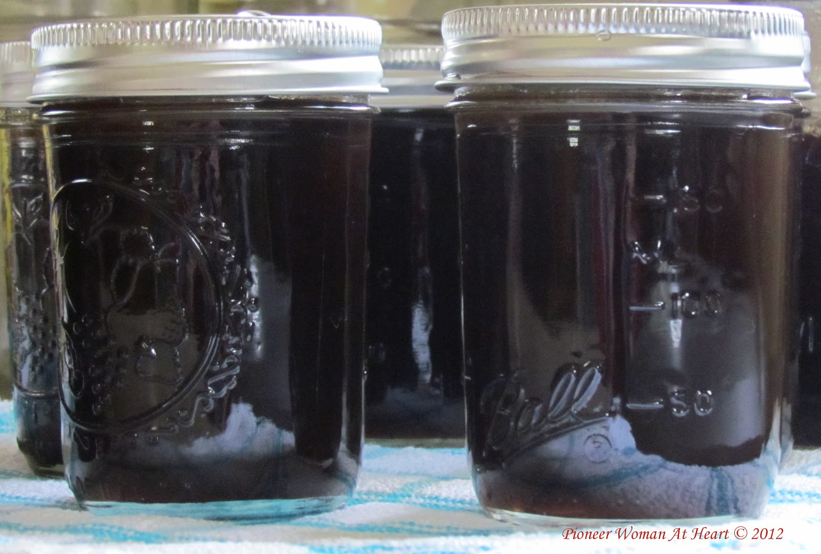 Pioneer Woman at Heart Canning Coffee Jelly, Gardening Updates, and More