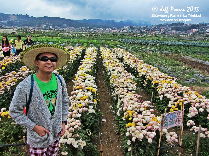 Bisayang Manlalakbay around the Philippines Vegetable & Flower Farm in La Trinidad, Benguet