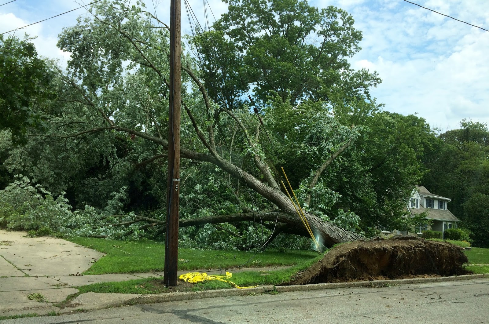 Dan Cirucci South Jersey Storm Damage Photos!