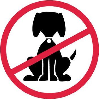 i don t like dogs s paws oh by the way i don t like dogs i don t like dogs s paws oh by the way i don t like dogs