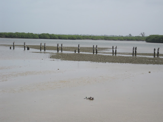 Planicie, en el Delta de Sinée Saloum, sobre la que se asienta Fadiouth (Senegal)