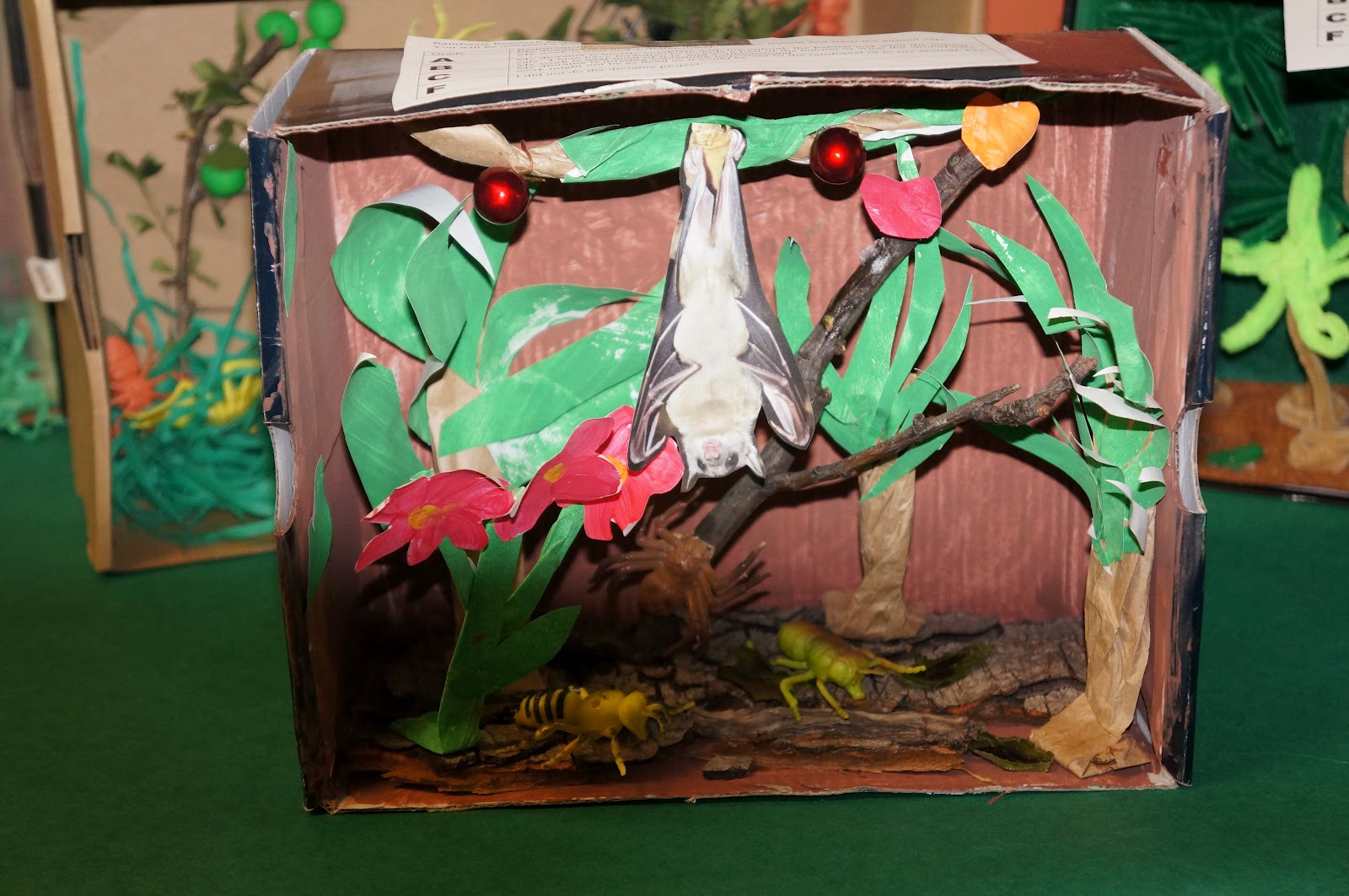 Smartsy and Artsy Rainforest Unit