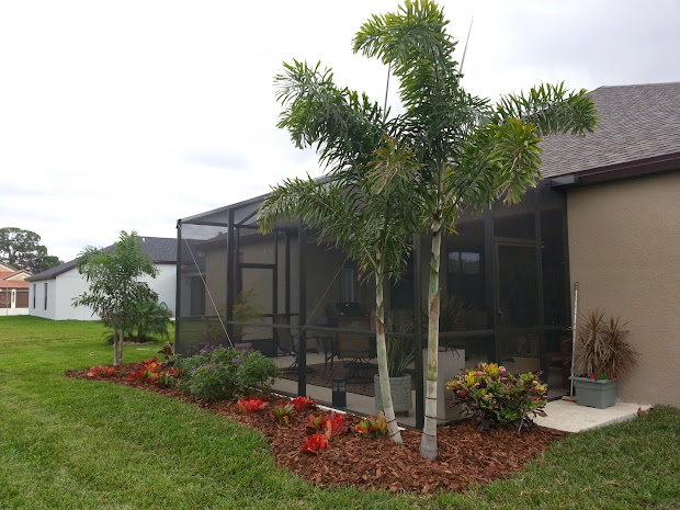 tampa bay landscaper