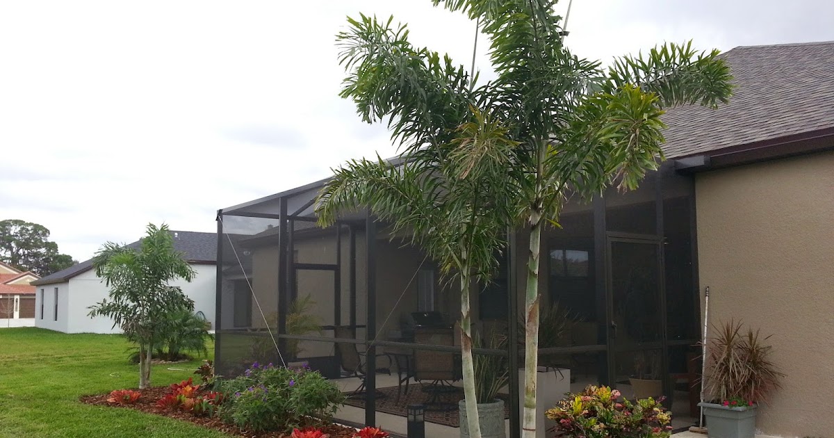 Tampa Bay Landscaper Tampa Lanai Landscaping Ideas Landscaping your