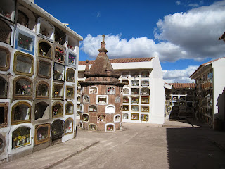 Photo Oli