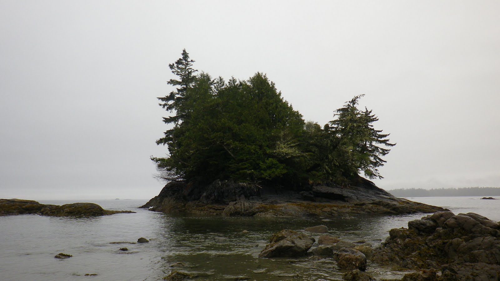 IMGP0296.JPG
