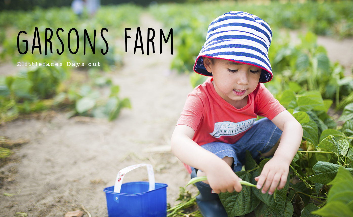 2 Littlefaces Days Out Garsons Farm PYO