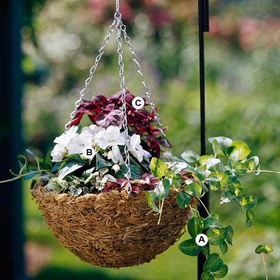 New Home Interior Design Create Stunning Hanging Baskets