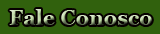 CONTACT US CONTACT US