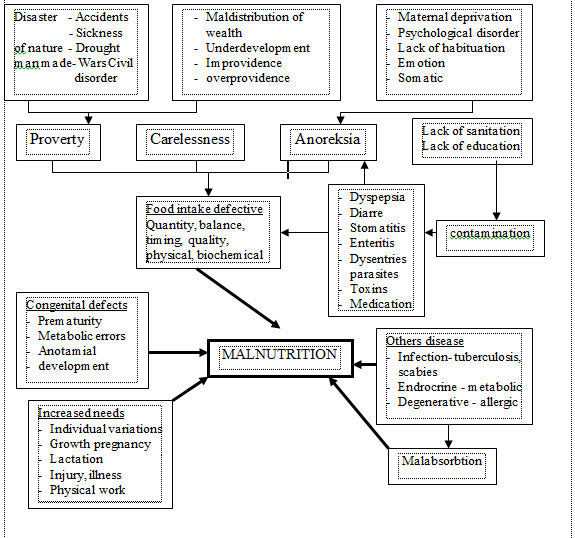 Asuhan Keperawatan Anak dengan Marasmus Pluxmee