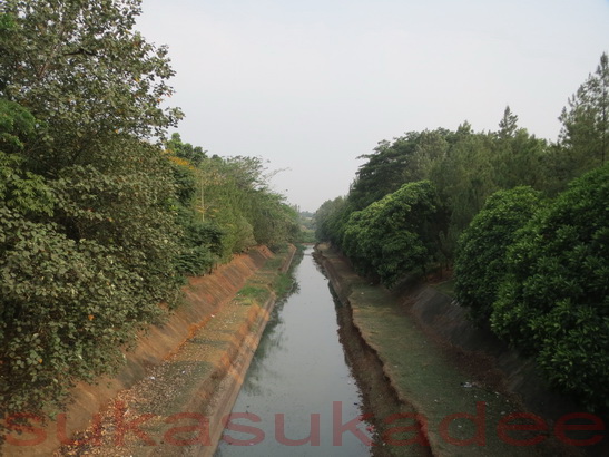 Hutan Kota di Bumi Serpong Damai - sukasukadee