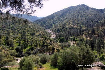 Parque Natural Cardeña Montoro