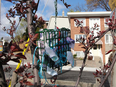 nesting materials for bird