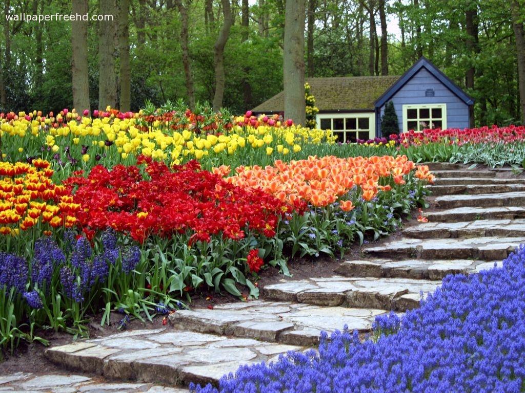 My Amazing Things Blog: Beautiful flower garden photos