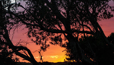 until sunset until sunset