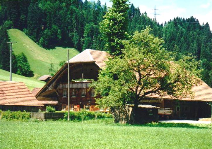 Scribbler Stauffer Family History