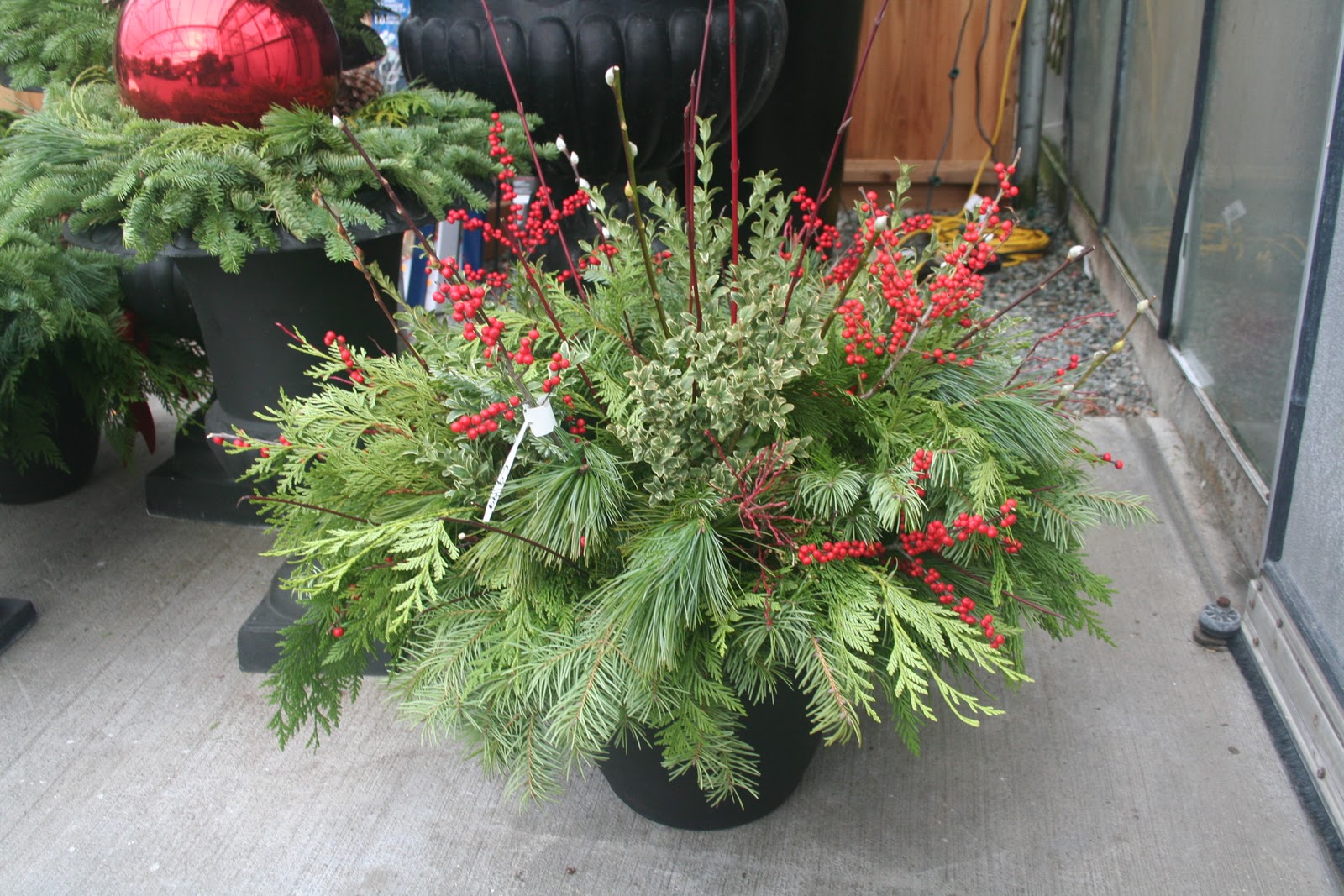 West Coast Gardens Fresh Evergreen Boughs, Wreaths and planters