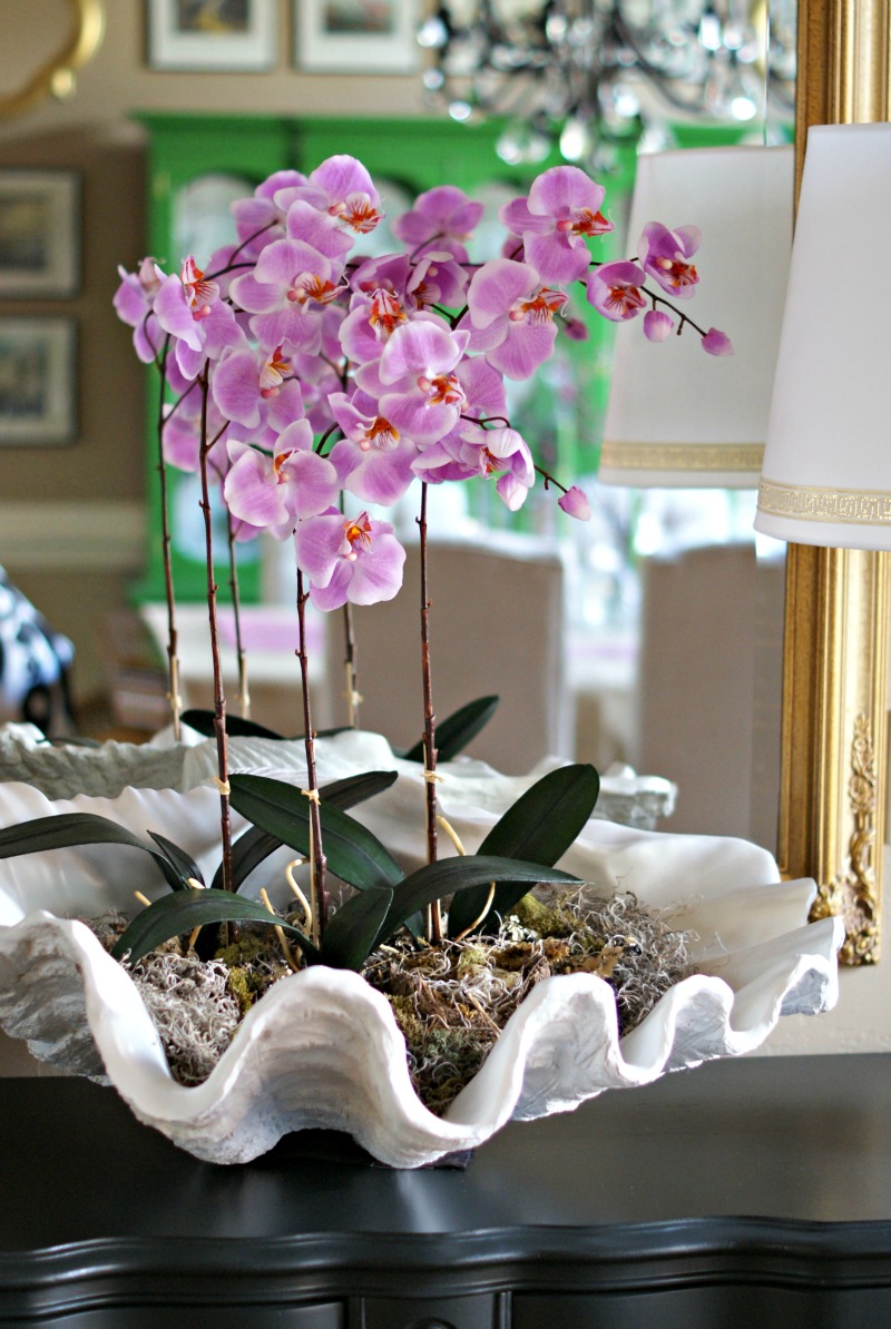 CLAM SHELL ORCHID ARRANGEMENT Dimples and Tangles