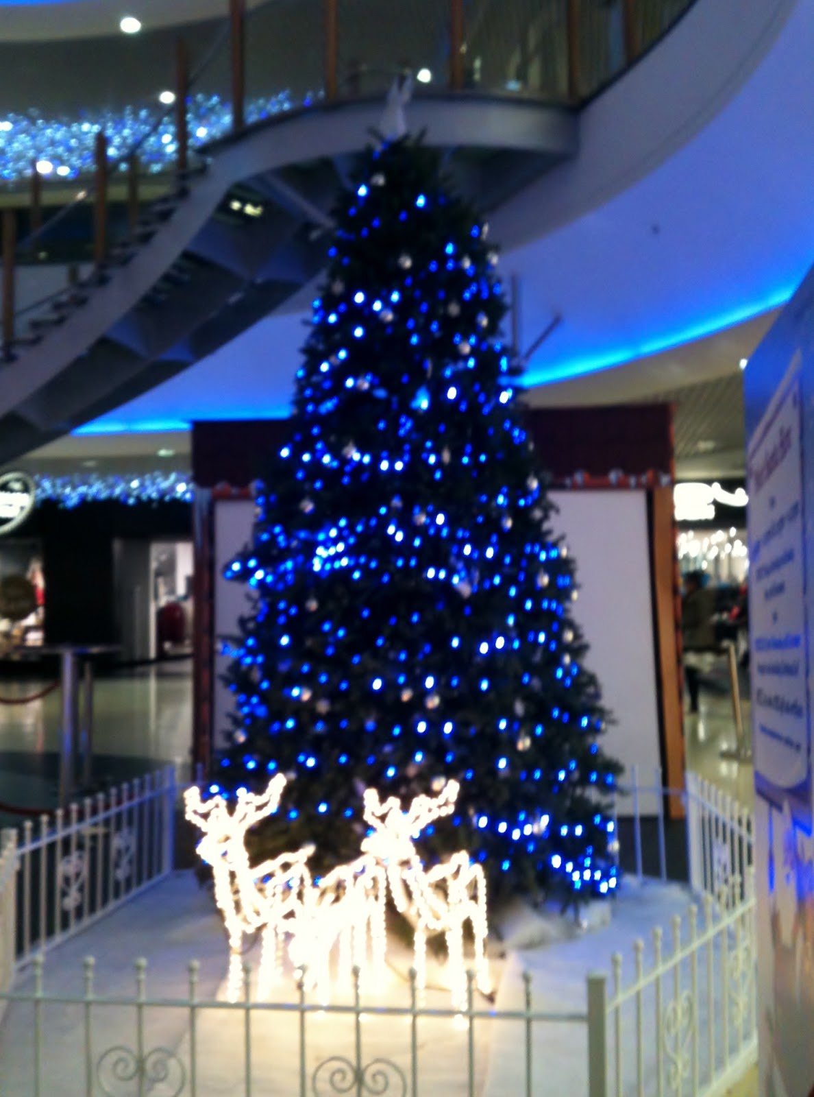 A Tree Is At The Center Of English Holiday Youth Journalism International