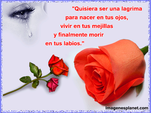 Imagenes de amor con movimiento - Imagenes romanticas de amor para ...