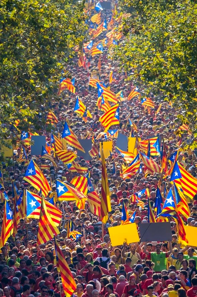 La Gran V a la premsa Internacional. Un gran èxit.