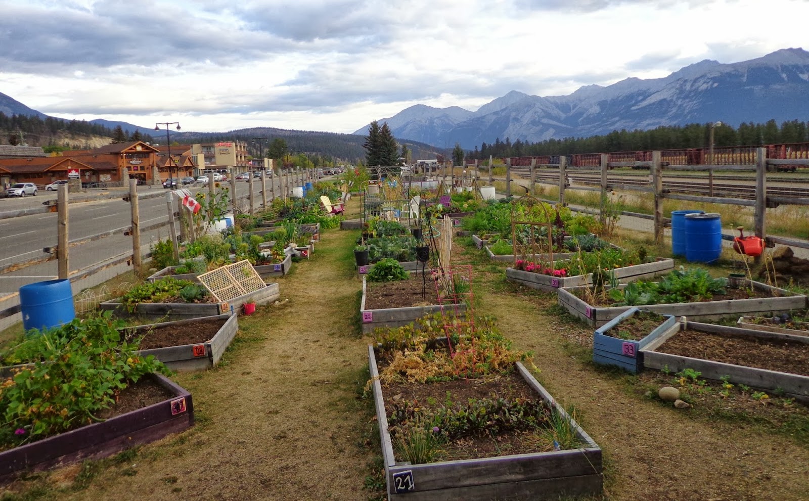 Gardening with Jess Jasper community garden