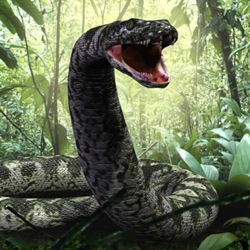 largest snake ever found