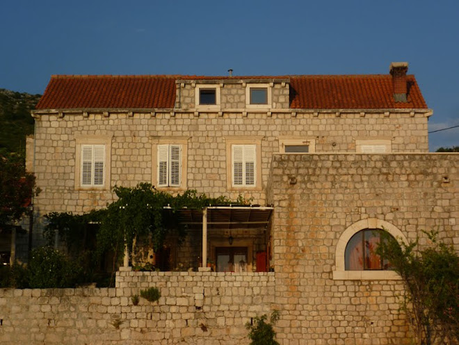 view of the house