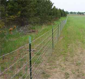 Farm Fencing done by Sunrise