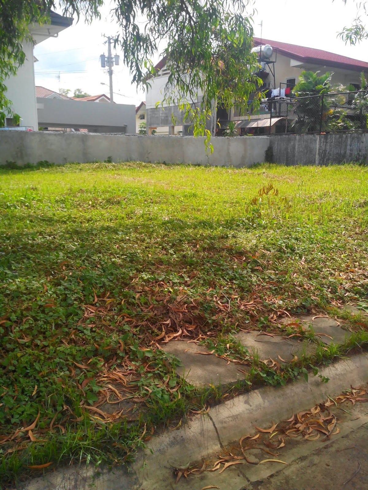 Davao Home Provider Lot For Sale at Woodridge, Maa, Davao City