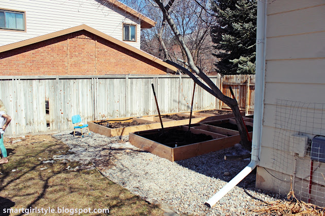 smartgirlstyle: Box Vegetable Garden: The Early Stages