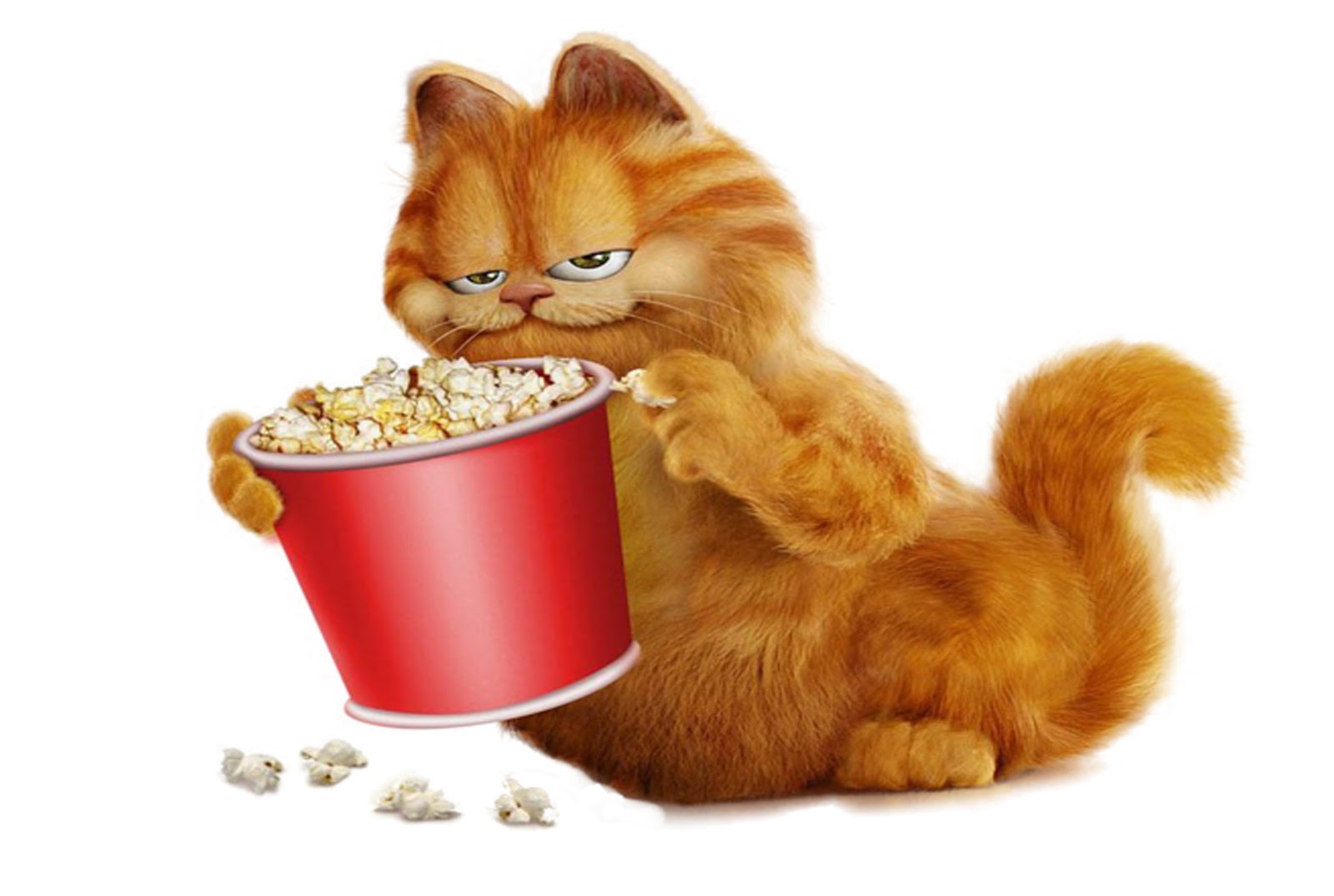 Gambar Kata Kata Lucu Orang: Wallpaper Lucu Gambar Kucing Garfield