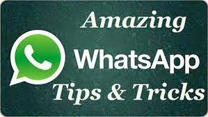 Stalker app online whatsapp How to