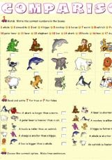 SKILLS: More comparatives