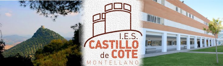 Plan de Igualdad del I.E.S. Castillo de Cote
