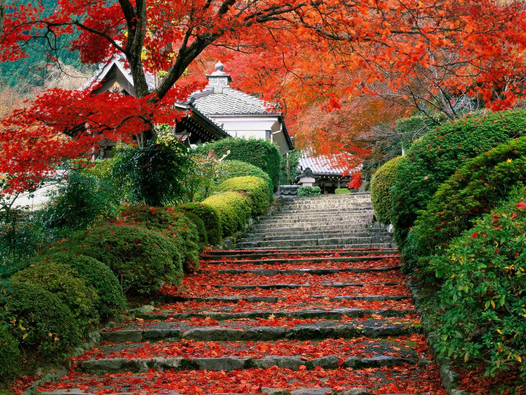 http://1.bp.blogspot.com/-opWIQoIRRqg/TWD7DTnU4OI/AAAAAAAABb0/2aZ741_tRfI/s1600/Garden-Staircase-Kyoto-Japan.jpg