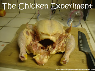 Serious Savings of the Possum: The Great Chicken Experiment Introduction
