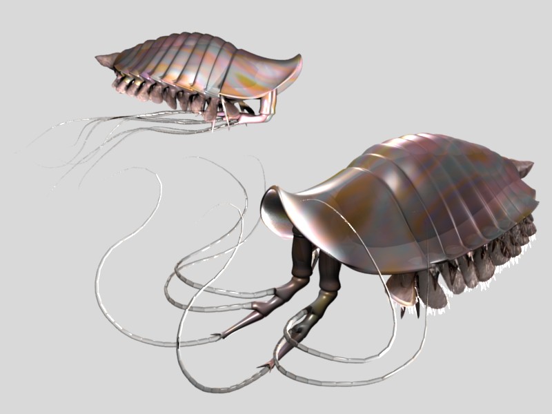 Leanchoilia Alchetron, The Free Social Encyclopedia