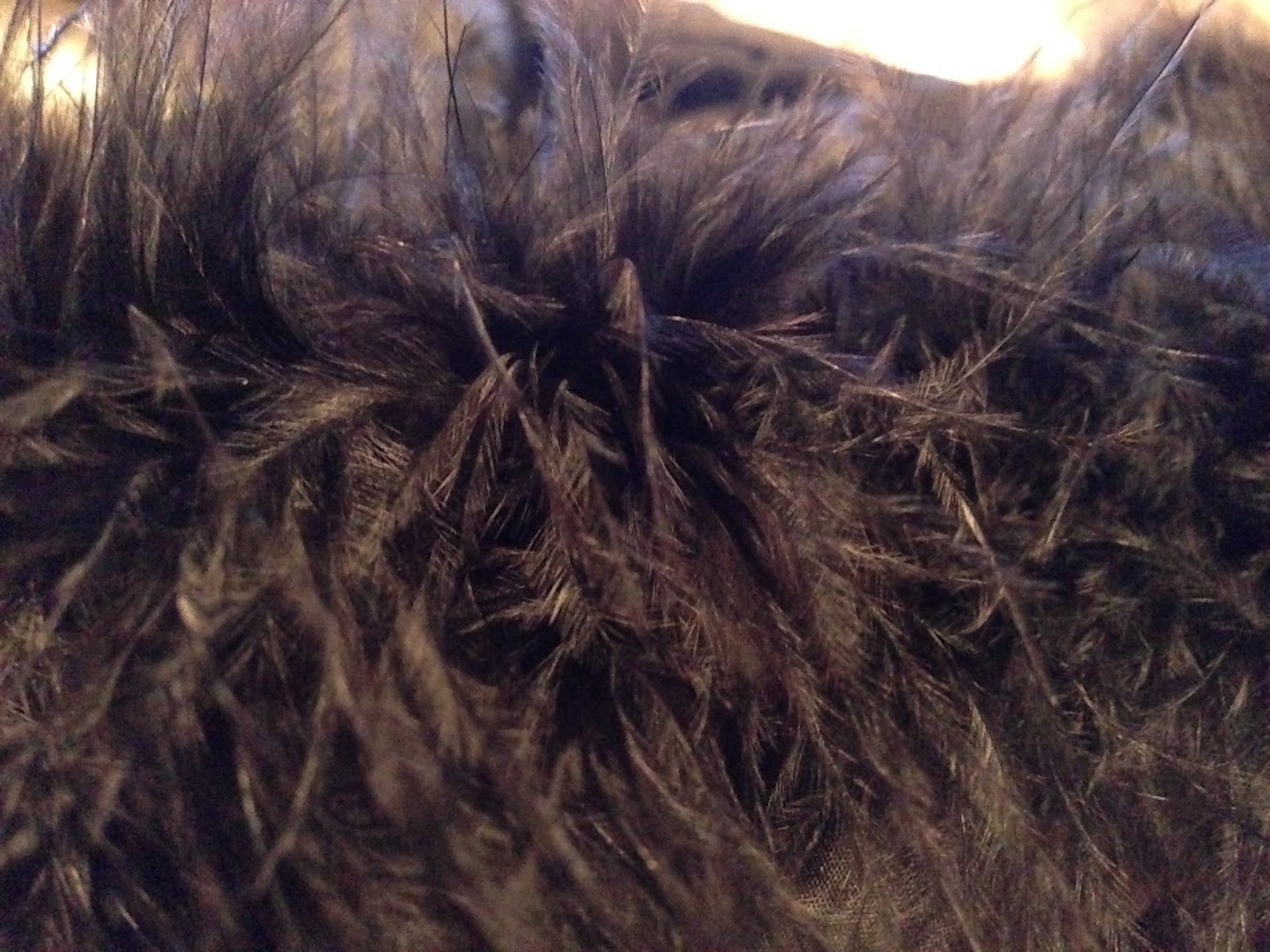 theladydetalle Sewing on marabou feather trim a mini tutorial