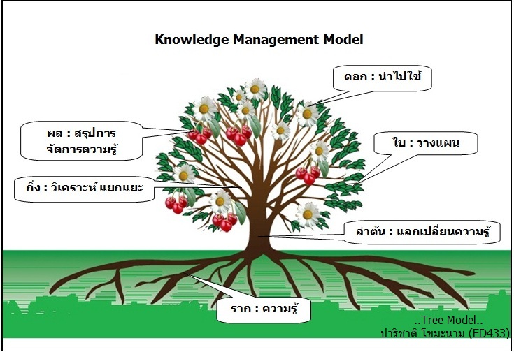 KM Model