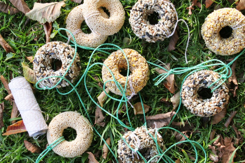 corner blog donut pan idea no. 59 bird seed rings