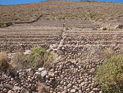 Terrazas Agrícolas en Lípez (Potosí - Bolivia)