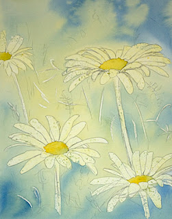 Wild Daisies