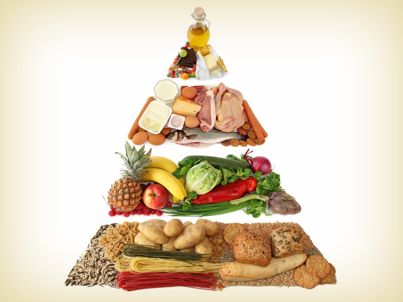 POS PENYULUHAN REGIONAL v: PERANAN IKAN DALAM POLA GIZI SEIMBANG