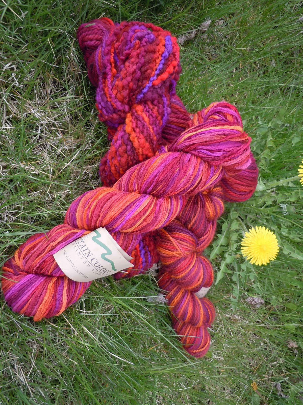 Mountain Colors Hand Painted Yarns: Feature Colorway--Indian Paintbrush