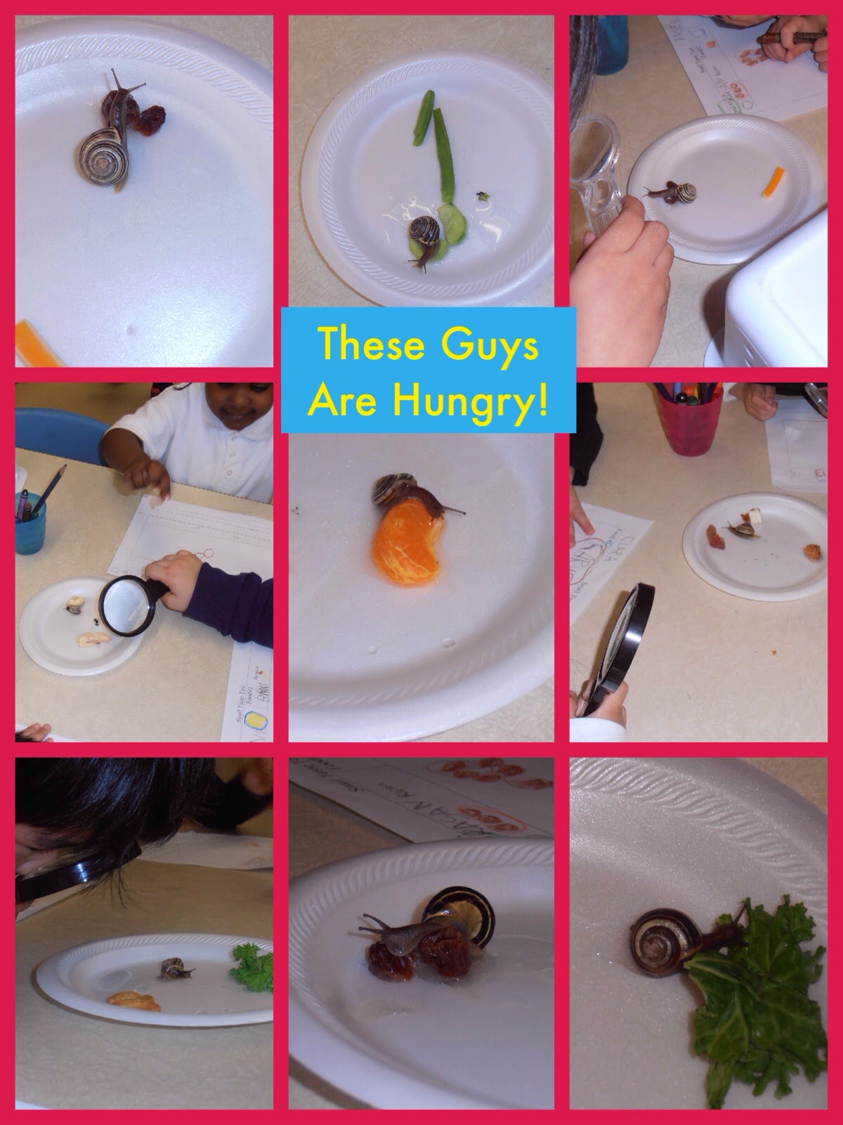 Kindergarten Korner SNAIL TRAILS