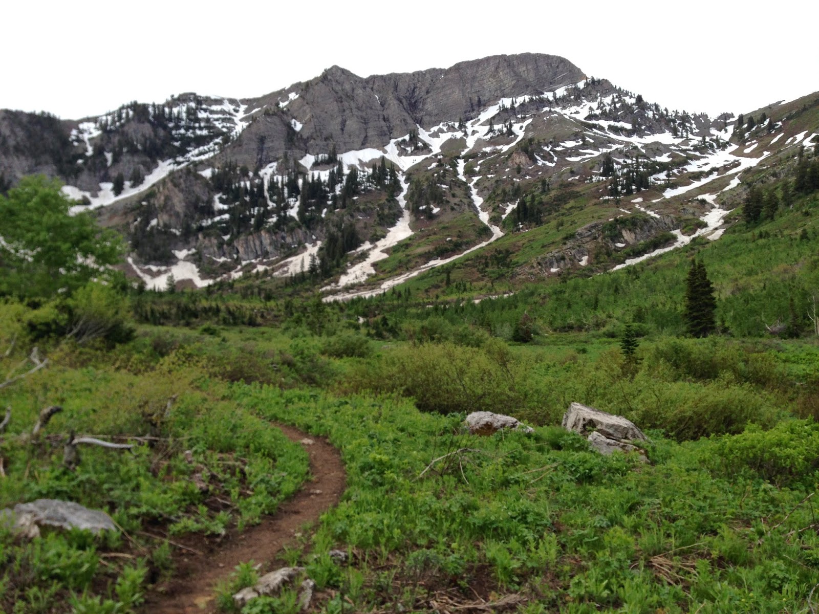 He's a Trailrunner, She's a Photographer Logan Peak Trail Race The